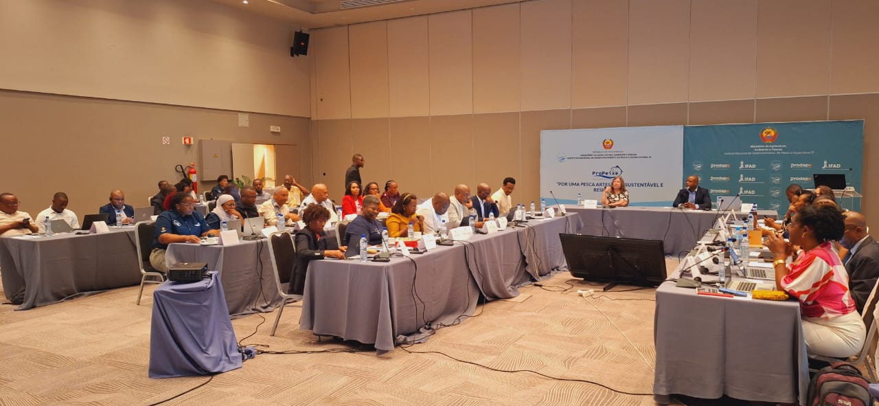 Read more about the article MISSÃO DE SUPERVISÃO DO FIDA INTEIRA-SE DAS ACTIVIDADES DO PRODAPE E PROPEIXE